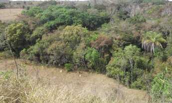 Imagem: Maravilhosa fazendinha de 20.000m² com