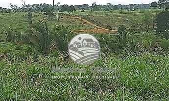 Imagem 7: Machadinho D'Oeste - Fazenda - Machadinho D'Oeste