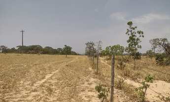 Imagem 6: FAZENDA MONTE CARMELO