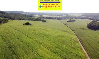 Imagem 6: Fazenda Porto Nacional em Lavoura