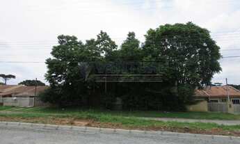 Imagem 4: SAO JOSE DOS PINHAIS - Terreno Padrão - Del Rey