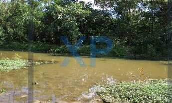 Imagem 2: FAZENDA RURAL A VENDA NO MUNICÍPIO DE SÃO GONÇALO DO PARÁ-MG