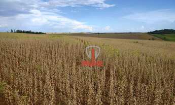 Imagem 5: Sítio à venda por R$ 6.500.000 - Rural - Andirá/PR