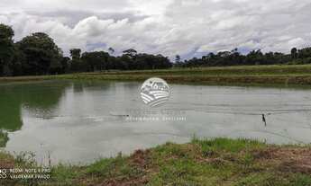 Imagem: Alto Paraíso - Fazenda - 74 Alqueires porteira