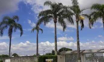 Imagem 3: Apartamento para venda com 73 metros quadrados com 3 quartos em Alto Ipiranga - Mogi das C