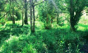 Imagem 5: Ótima chácara na serra da mantiqueira em Virgínia no sul de MG