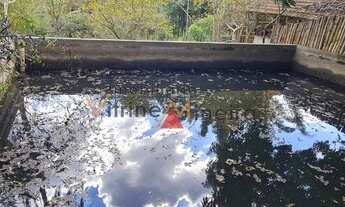 Imagem 3: Chácara para venda