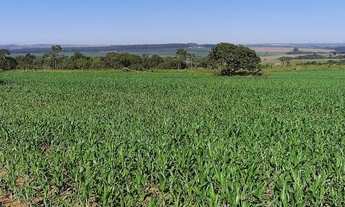 Imagem 3: Fazenda DF 260 !!! 29.700.000 !!!