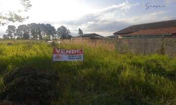 Imagem 5: Terreno à venda, 468 m² por R$ 155.000,00 - Borda Do Campo - São José dos Pinhais/PR