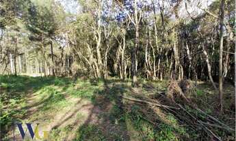 Imagem 3: Terreno Rural para Venda em Campo Largo, São João do Povinho