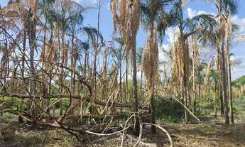 Imagem 3: Vende-se chácara com 20.800m2 no bairro Nova Esperança em Cuiabá MT