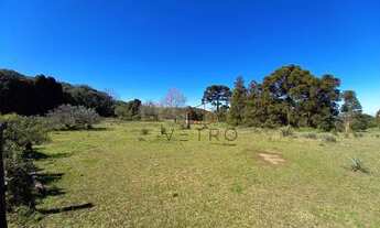 Imagem 2: Terreno no bairro Alpes Verdes em Canela!