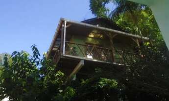 Imagem: LAURINDO JANUARIO DA SILVEIRA