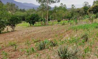 Imagem 2: Sítio "nobre" perto do centro Araricá 6.7 hectares