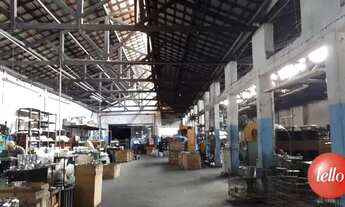 Imagem 6: São Paulo - Prédio Inteiro - Água Rasa