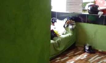 Imagem 5: Casa na praia vendo troco PERUÍBE