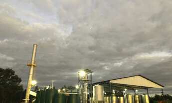 Imagem 4: Fazenda com cana e engenho