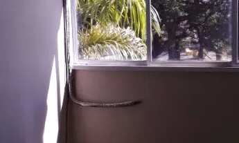 Imagem 6: Apartamento de 3 quartos na SQN 113