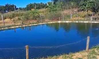 Imagem 4: Chácara em Cristianopolis Goiás