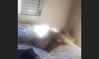 Imagem 6: Casa em Em Codominio