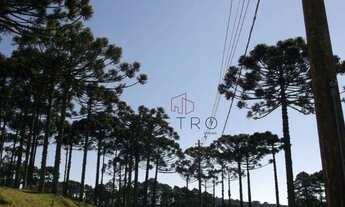 Imagem 7: Terreno no Condomínio Altos Pinheiros em Canela!