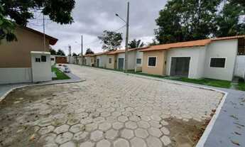 Imagem 7: Jardim das Violetas