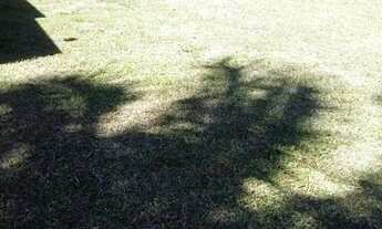 Imagem 4: Sítio em águas claras.