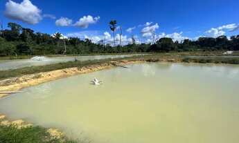 Imagem 4: Vendo sítio na estrada de novo airão, fica 130 km de Manaus