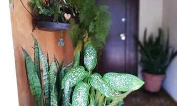 Imagem 7: Sobrado em Santo Amaro com 192m2 4 dormitórios 4 banheiros