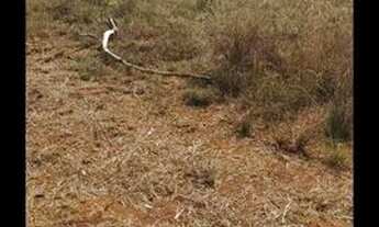 Imagem: EXCELENTE ÁREA DE 2.178.76.M2 ENCOSTADO