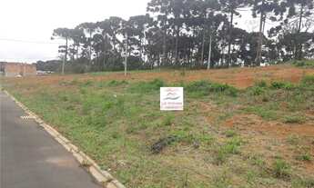 Imagem 3: Lote/Terreno para venda tem 120 metros quadrados em Gralha Azul - Fazenda Rio Grande - PR