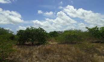 Imagem 7: Pechincha terreno p/ galpao ou gj a. Mineral