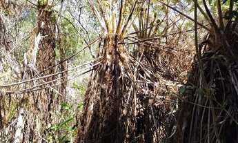 Imagem 5: Morada donsossego