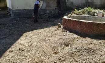 Imagem 5: Vendo casa com ótimo quintal em Buenópolis mg