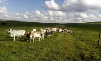 Imagem 2: Fazenda em araxa 1.100 hectares 34.000.000.00
