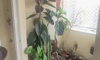 Imagem 7: Apartamento Venda 3 Dormitórios - 78 m² Perdizes