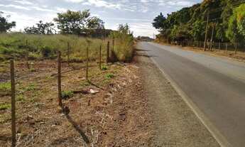 Imagem 2: Lote no padre Lúcio beira de asfalto