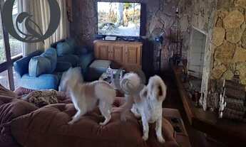 Imagem 3: Vista única em um bairro encantador! Você é investidor ou se está a procura de um imóvel