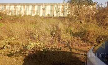 Imagem 3: Terreno - Matão - Campinas