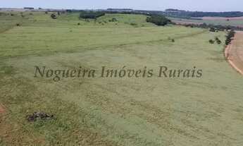 Imagem 7: Fazenda com 136 alqueires na região de Jaú (Nogueira Imóveis Rurais