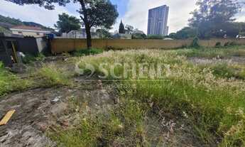 Imagem 6: Terreno de 1650m2, todo plano em excelente localização na Zona Sul