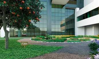 Imagem: IR-MD. EDF.Jardins da Ilha