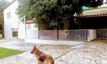 Imagem 5: Aluguel residencial