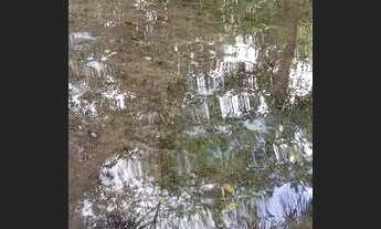 Imagem: Vende-se uma propriedade