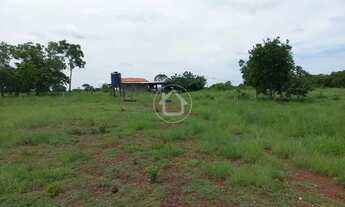 Imagem 6: PROPRIEDADE PRODUZINDO - 70 KM DE CUIABÁ