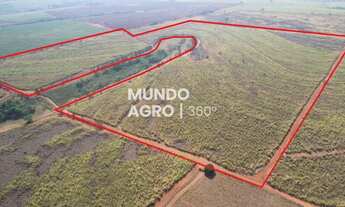 Imagem: 11 alqueires 97 em cana