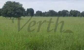 Imagem 7: Fazenda à Venda Porteira Fechada Januária/MG