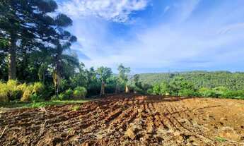 Imagem 7: Terreno para Venda em Nova Petrópolis, Linha Olinda