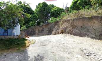 Imagem 7: Sítio em maribondo al