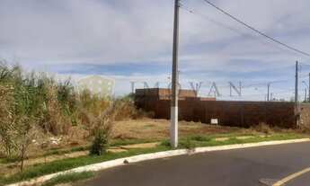 Imagem 3: Terreno Padrão em Ribeirão Preto